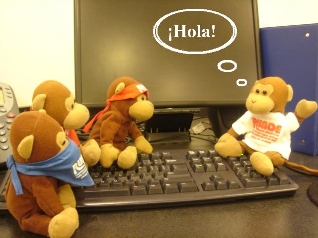 Runde Monkeys sitting on a computer keyboard