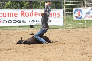 Wisconsin Regional High School Rodeo participant roping a calf