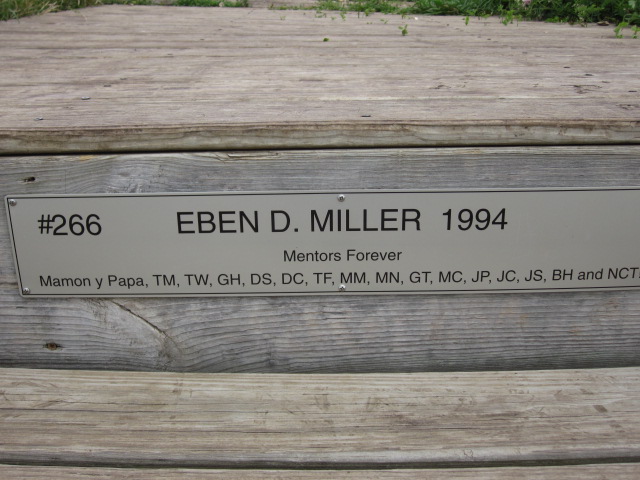 A photo of one of the wooden steps leading up to the world's largest M in Platteville.