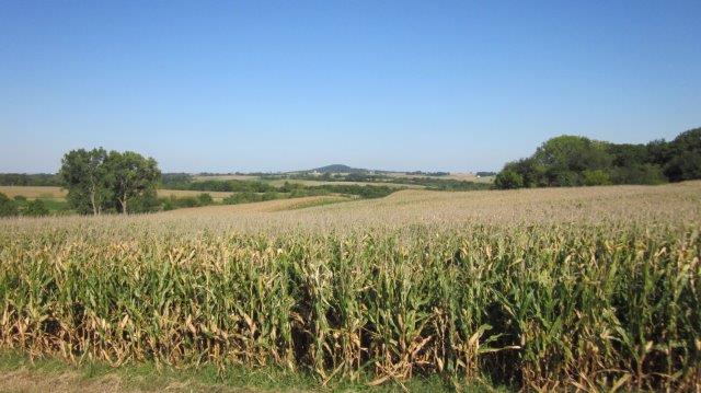 Corn field behind Runde Predriven dealership with a view of the Mound