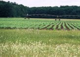 view of a farm