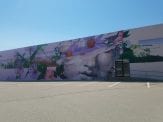 Gaia's newest Dubuque mural at Steve's Ace Hardware on South Locust St. in Dubuque