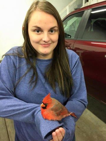 Keeli Runde holding a red feathered visitor