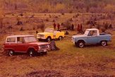 Ford Broncos parked on the grass