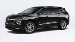 Ebony Metallic Enclave